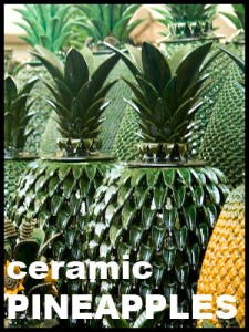 _MG_0818_category_pineapples_300X400