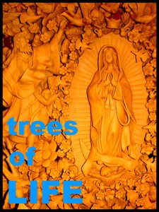 category_treesoflife_300X400